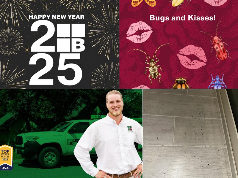 Bulwark Exterminating in Mesa HQ