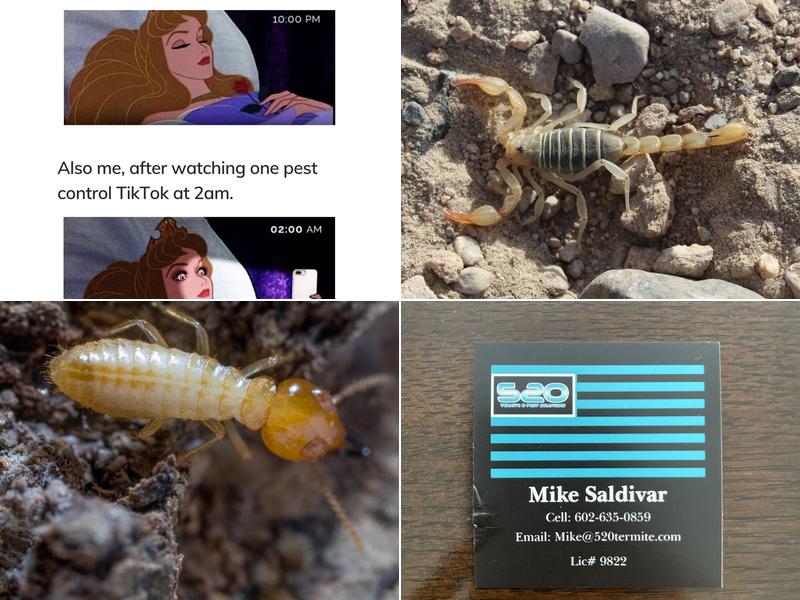 520 Termite & Pest Solutions