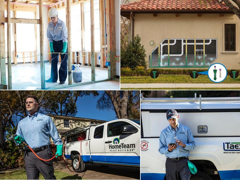 HomeTeam Pest Defense
