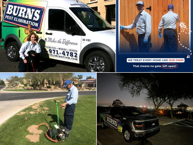 Burns Pest Elimination