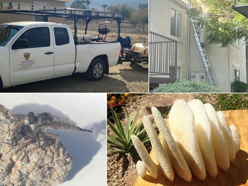 Don's Bees, Termites and Weeds LLC