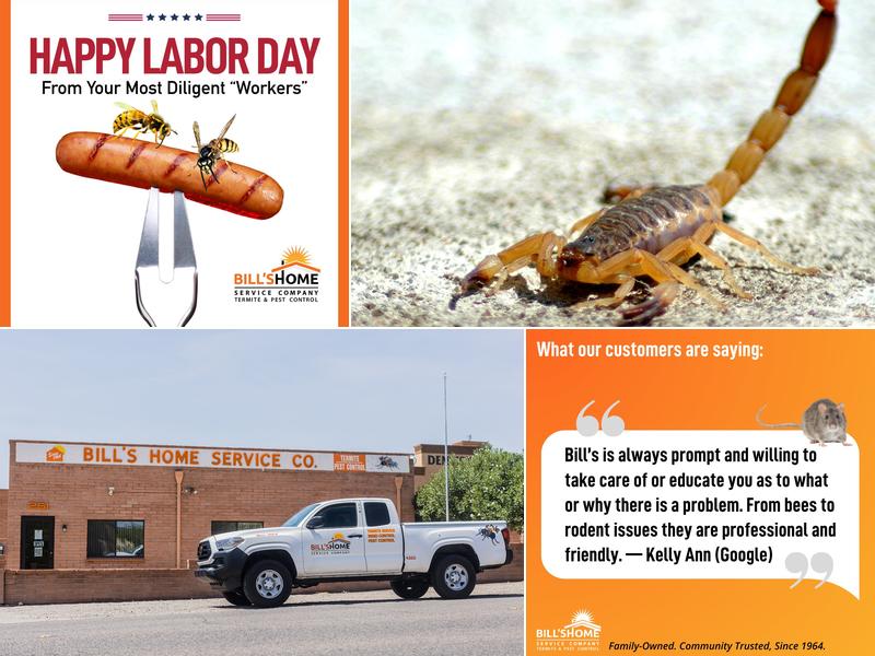 Bill's Home Service Company Pest & Termite