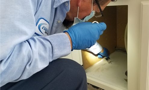 Essential Pest Control