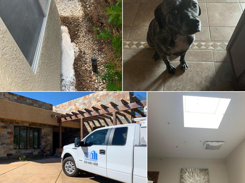 RKC Pest Management LLC