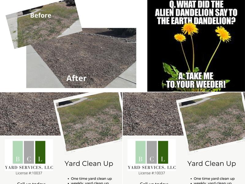 BCL Yard Services, LLC