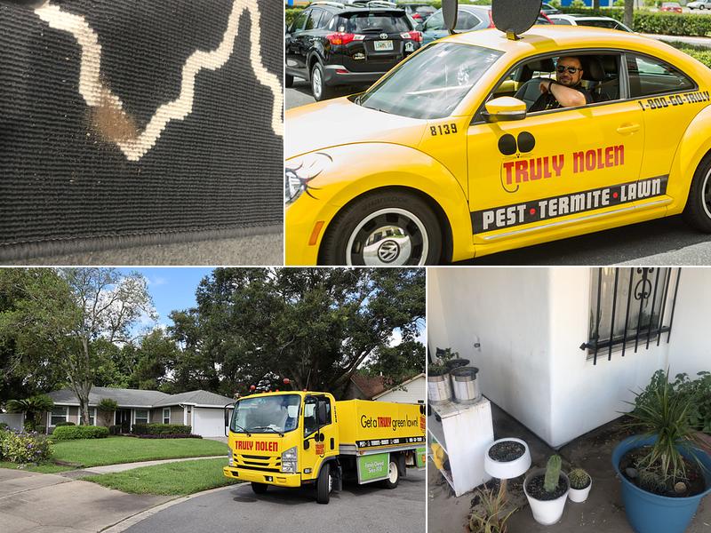 Truly Nolen Pest & Termite Control