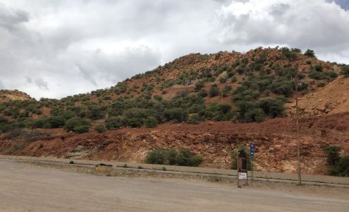 All Pro Pest Management Service 1858 Paseo San Luis Suite F, Sierra Vista Arizona 85635