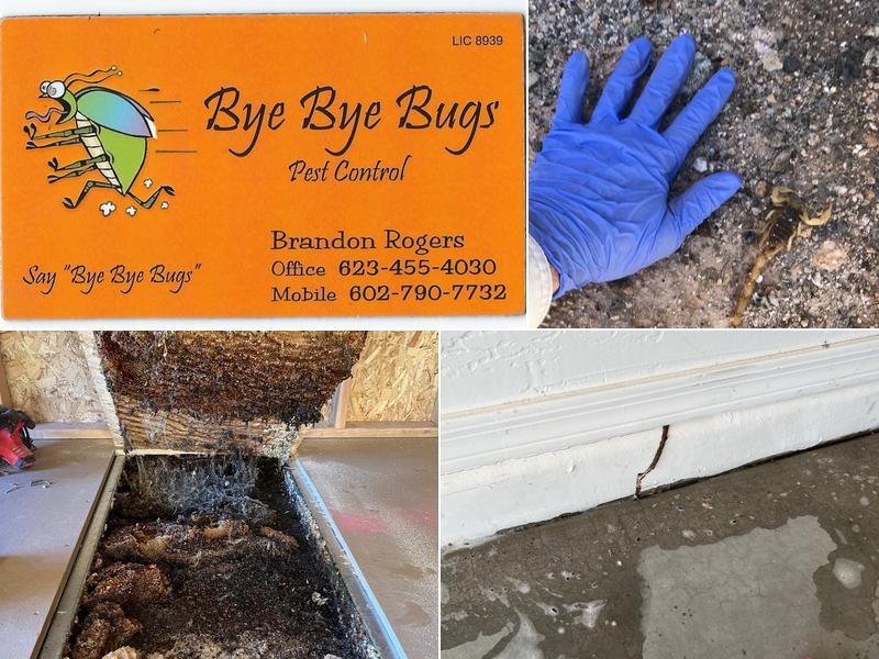 Bye Bye Bugs Pest Control