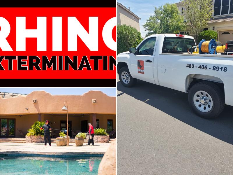Rhino Exterminating