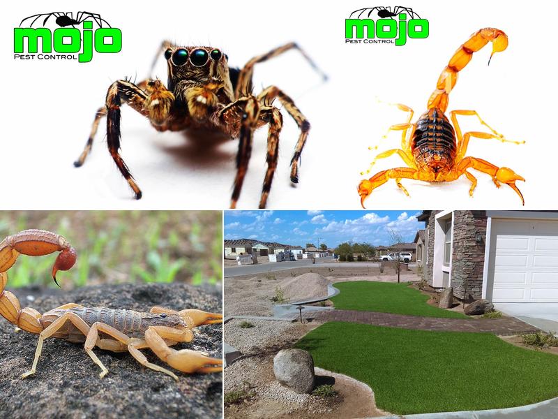 Mojo Pest Control