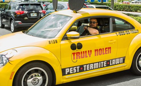 Truly Nolen Pest & Termite Control 1005 N Stadem Dr, Tempe Arizona 85288