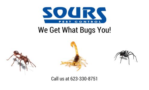 Sours Pest Control Services 11283 N 187th Dr, Surprise Arizona 85388