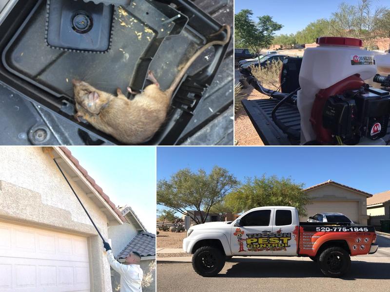Tucson Pest Control