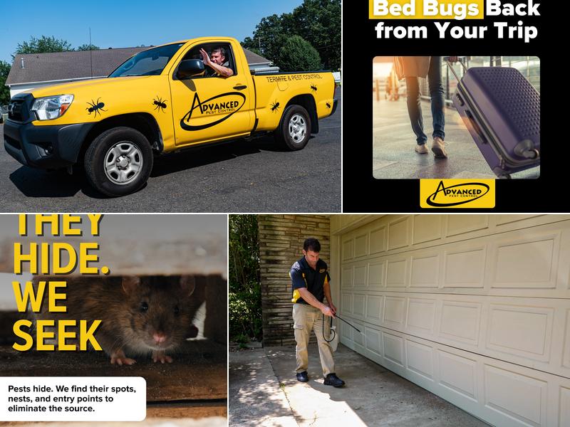 Advanced Pest Control