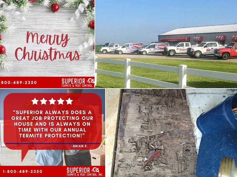 Superior Termite & Pest Control
