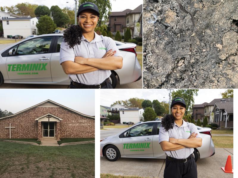 Terminix