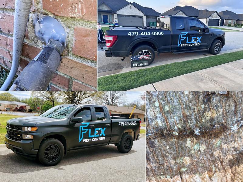 Flex Pest Control