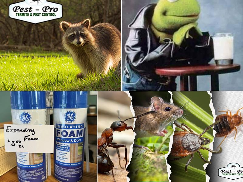 Pest-Pro Services, Inc.