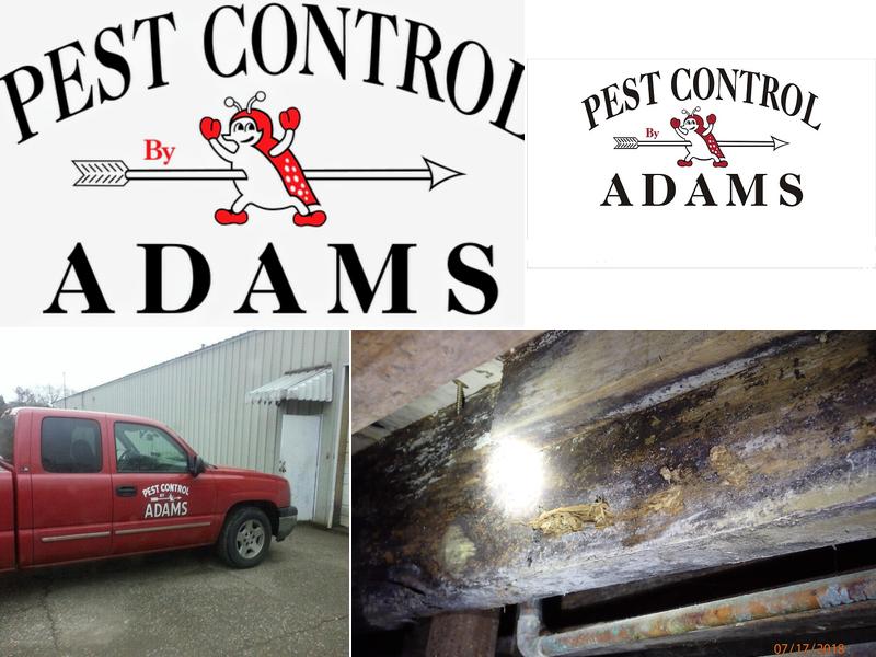 Adams Pest Control