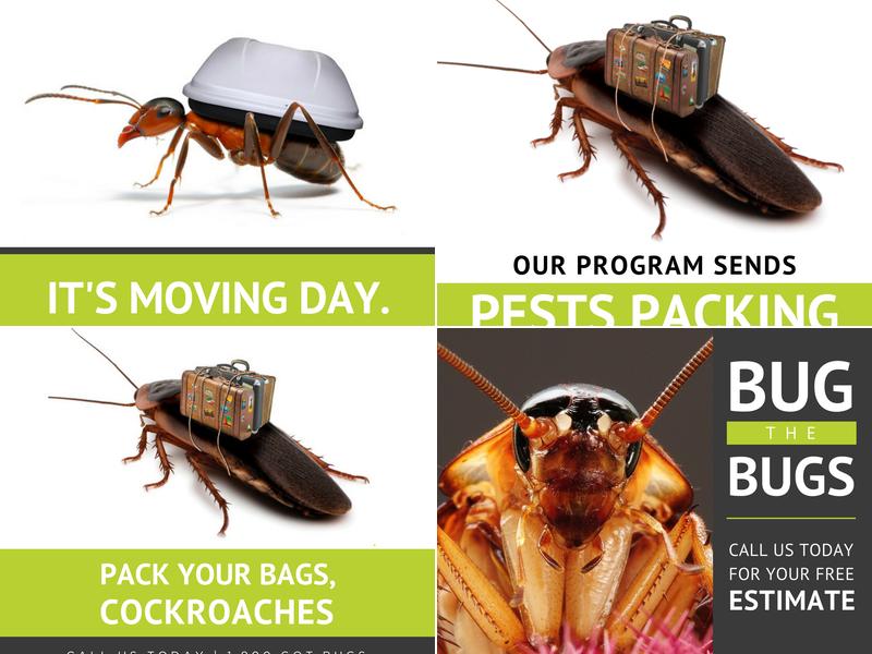 Command Pest Control