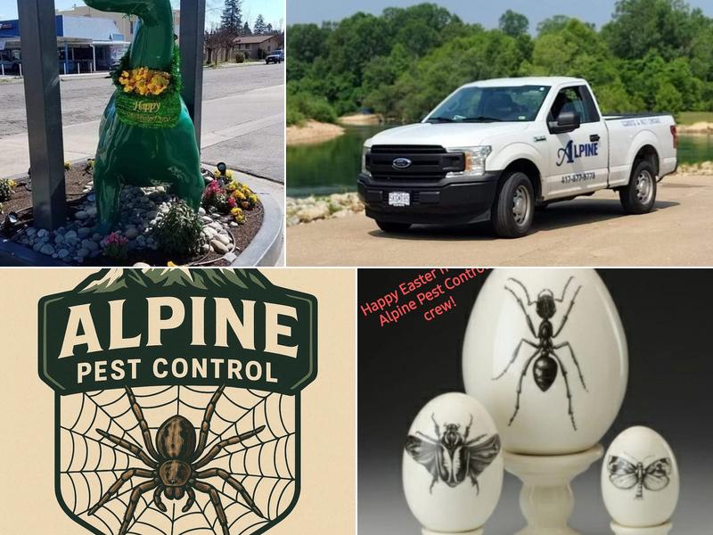 Alpine Termite and Pest Control