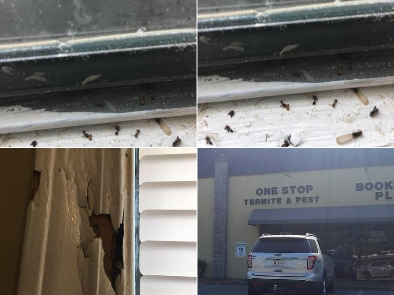 Jake Termite & Pest Control