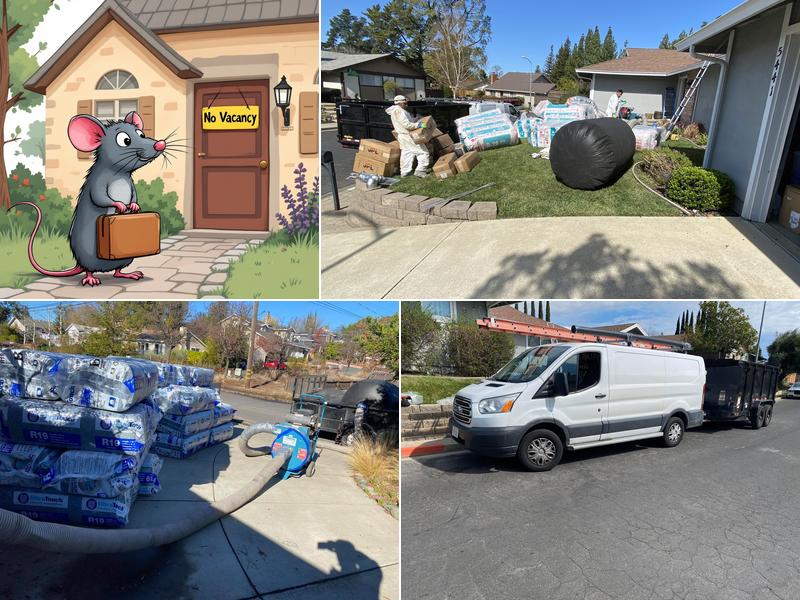 Honest Rodent Proofing