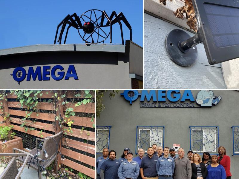 Omega Termite & Pest Control