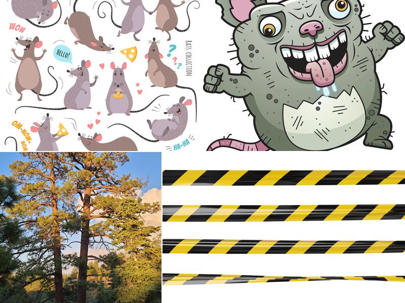 Home Defenders Termite & Pest Management Inc