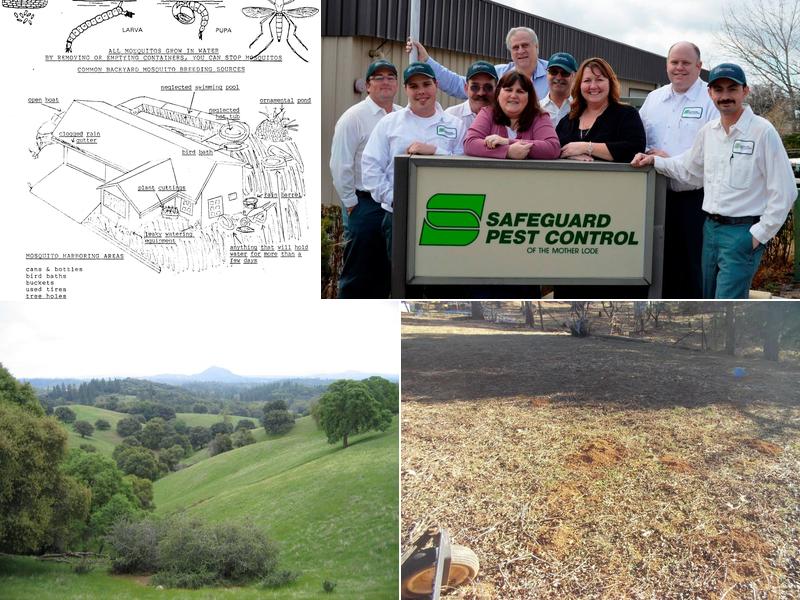 Safeguard Pest Control