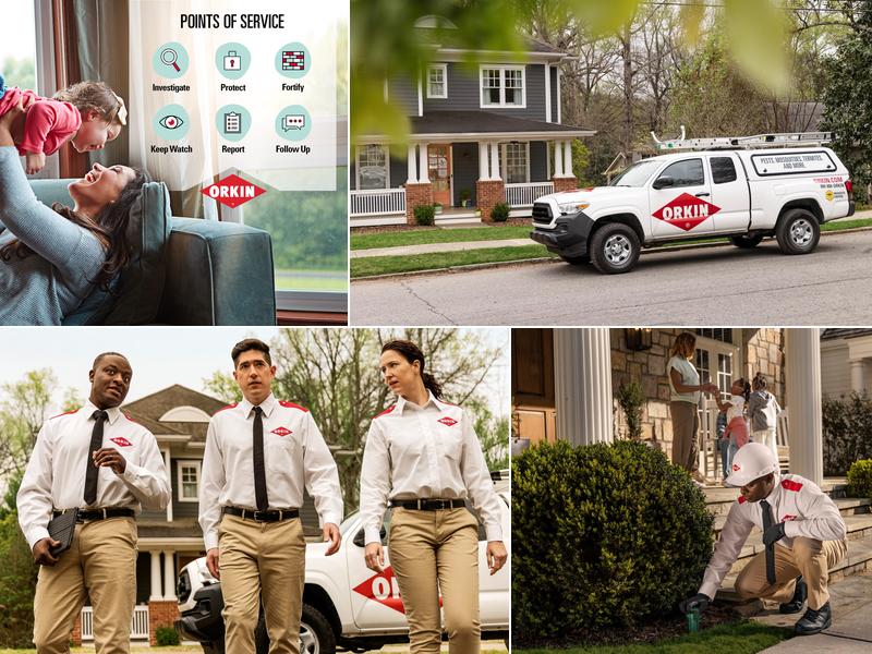 Orkin