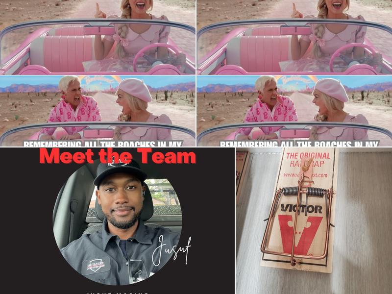 Premium Termite & Pest Control