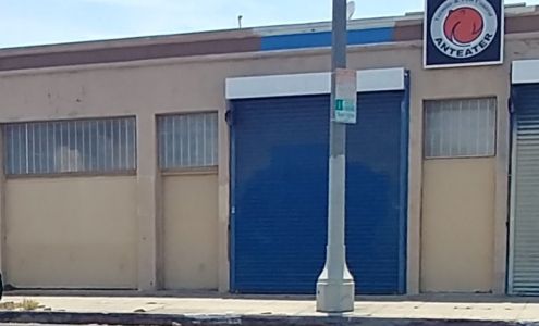 Anteater Termite & Pest Control