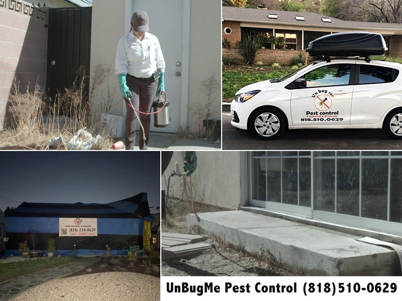 UnBugMe Pest Control & Termite