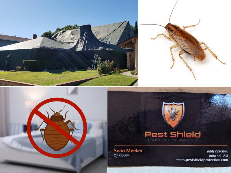 Pest Shield