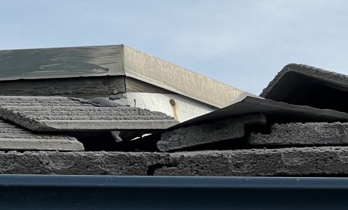 Game Over Pest Control