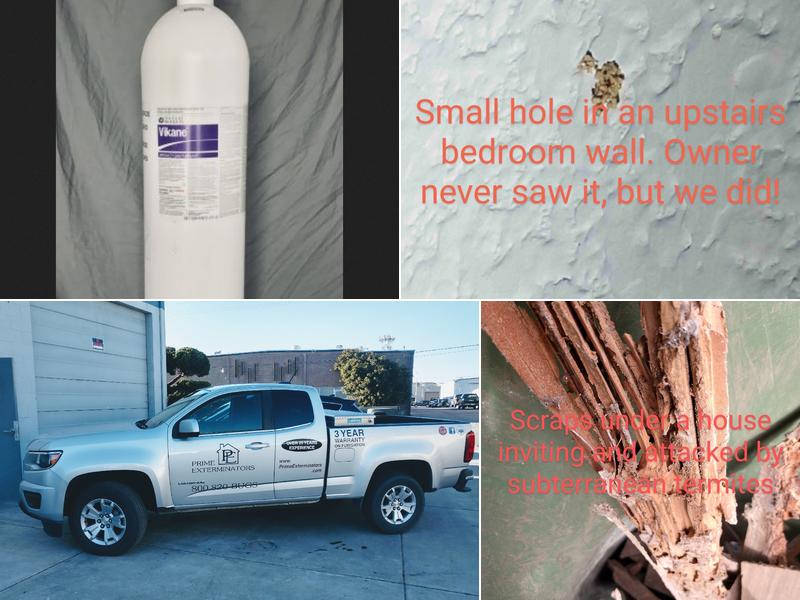 Prime Exterminators Inc