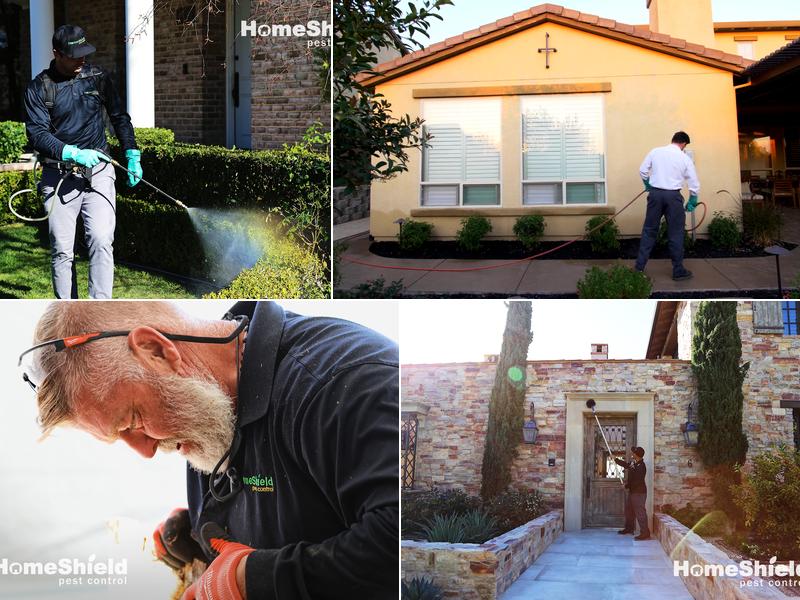 HomeShield Pest Control