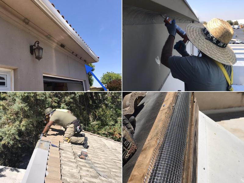 Sentient Pest Exclusion Services