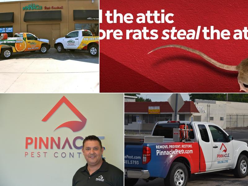 Pinnacle Pest Control of Concord