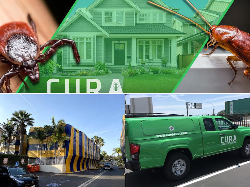 Cura Termite and Pest Control