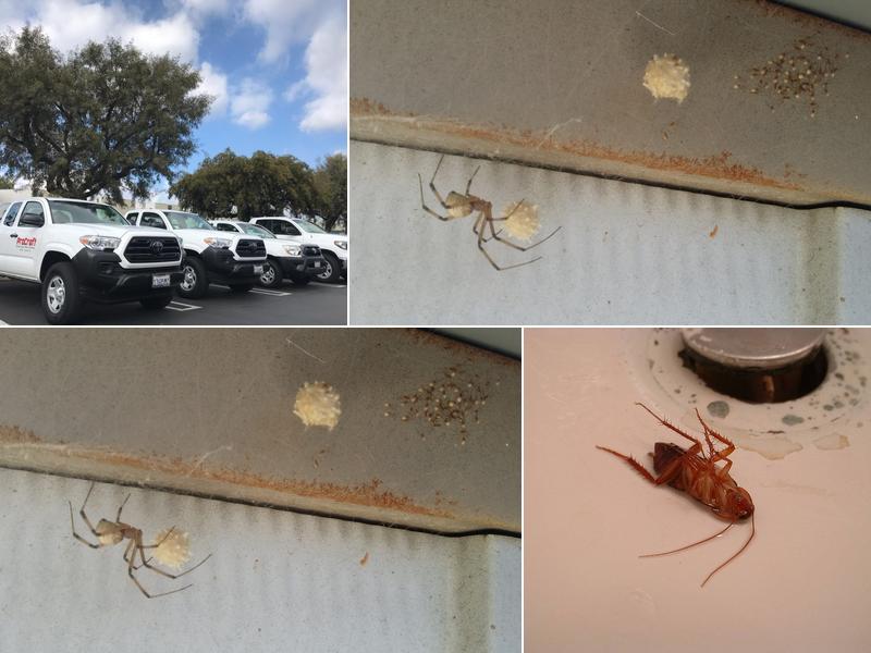 ProCraft Pest Control