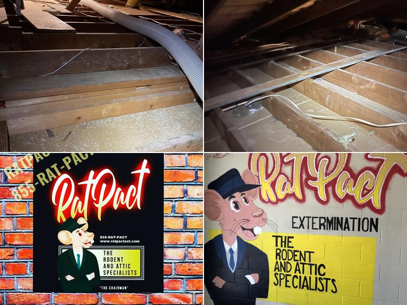 Rat Pact Extermination