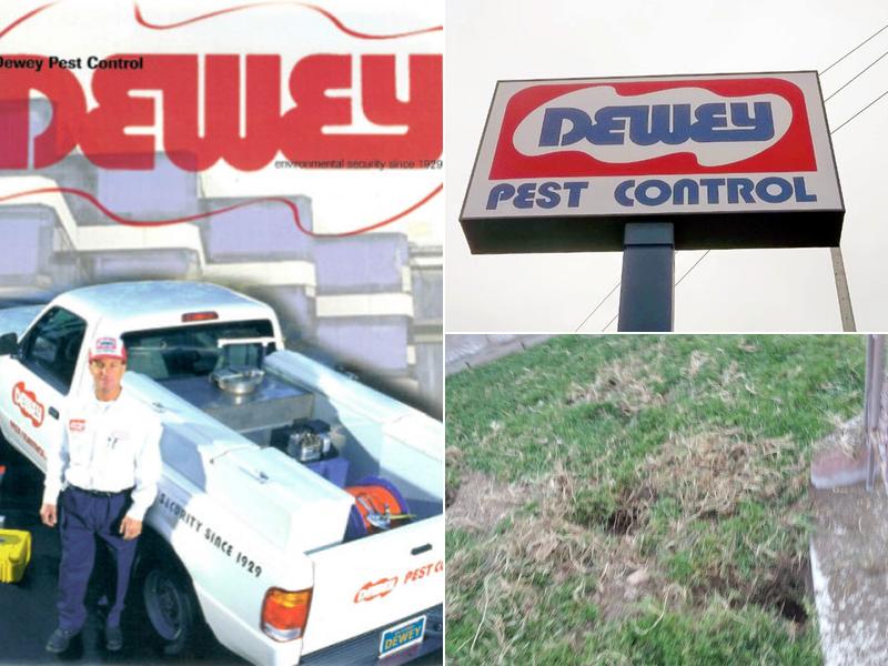 Dewey Pest & Termite Control