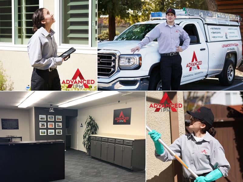 Advanced Integrated Pest Management