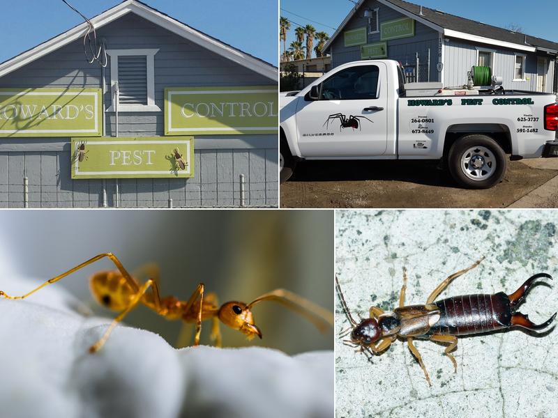 Howard's Pest Control