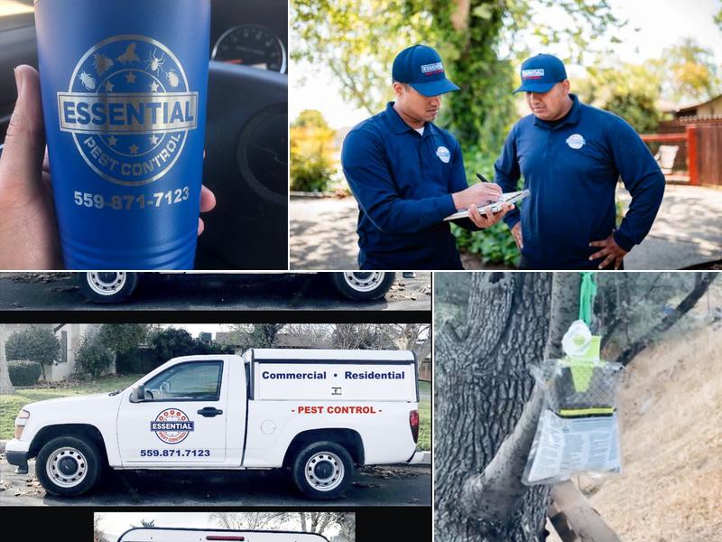 Essential Pest Control