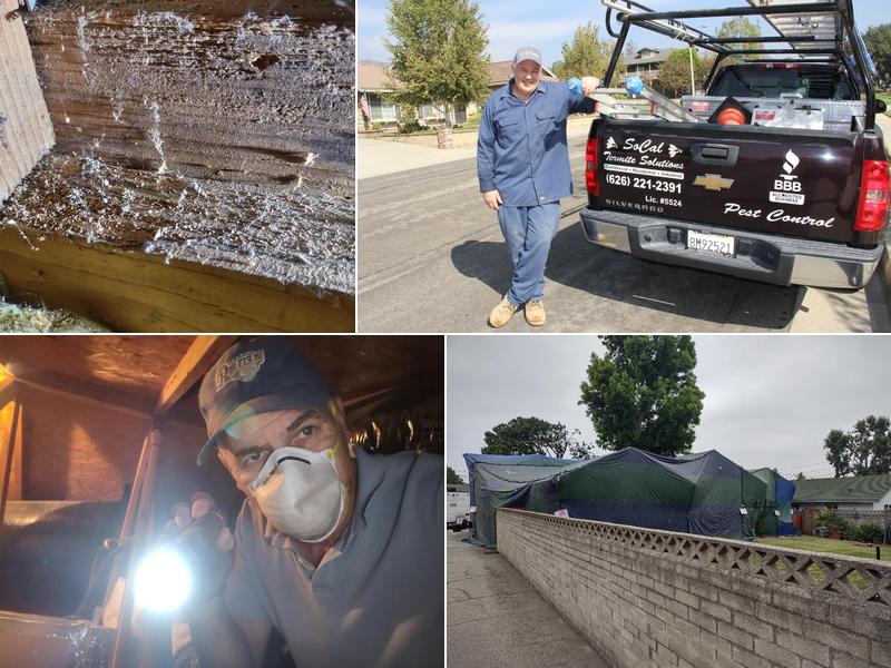 So Cal Termite Solutions