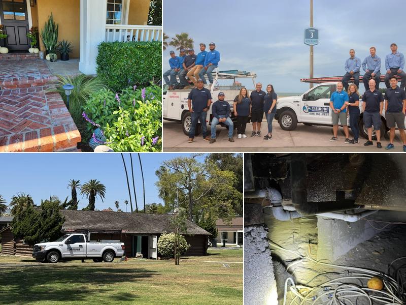 Seashore Pest Control, Inc.