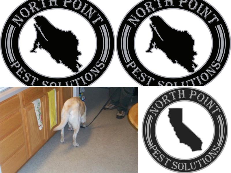 North Point Pest Solutions Inc.